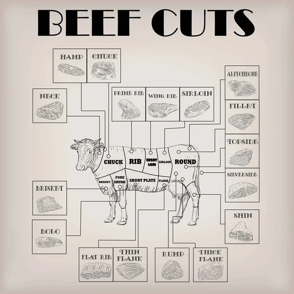Beef cow bull whole carcass cuts cut parts infographics scheme sign signboard poster butchers guide: neck, chunk, brisket fillet rump. Vector beautiful horizontal closeup black outline beige background — Stock Vector
