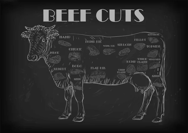 Nötkött Ko bull hela kadavret nedskärningar skär delar infographics systemet Logga skylt affisch slaktare guide: hals bit, brisket filé gumpen. Vektor vackra horisontella närbild vit kontur svart bakgrund — Stock vektor