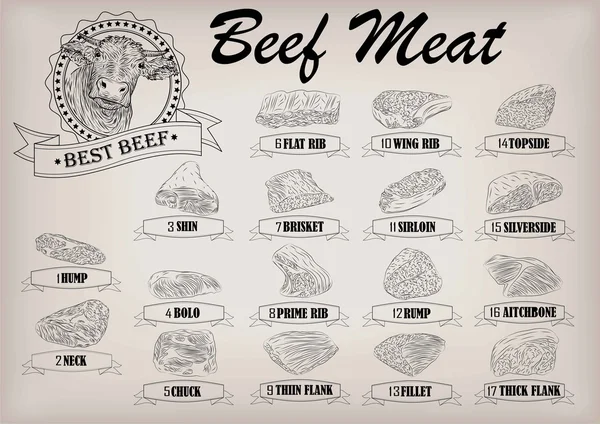 Rindvieh Bulle ganze Schlachtkörper schneidet Teile Infomaterial Schema Schild Plakat Metzger Führer: Hals, Brocken, Brustfilet Rumpf. Vektor schöne horizontale Nahaufnahme schwarzer Umriss beiger Hintergrund — Stockvektor