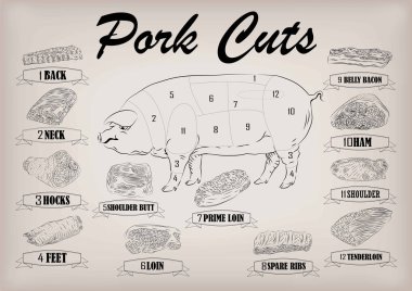 Domuz domuz yan karkas Kılavuzu arka boyun ayaklar omuz kalça bel jambon kesilmiş parçalar bilgi grafik düzeni işareti tabela poster kasaplar keser. Güzel yatay portre siyah anahat bej arka plan vektör