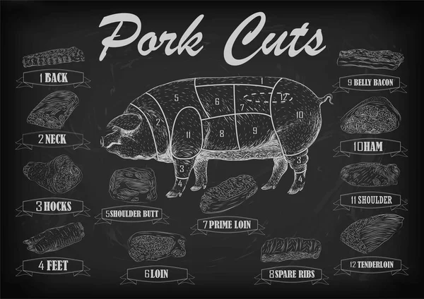 Pork pig side carcass cuts cut parts info graphics scheme sign signboard poster butchers guide back neck feet shoulder butt loin ham. Vector beautiful horizontal closeup white outline black background — Stock vektor