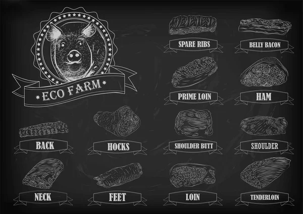 Pork pig side carcass cuts cut parts info graphics scheme sign signboard poster butchers guide back neck feet shoulder butt loin ham. Vector beautiful horizontal closeup white outline black background — Stock vektor