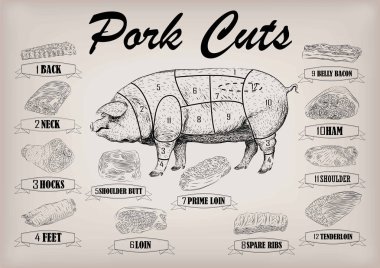 Domuz domuz yan karkas Kılavuzu arka boyun ayaklar omuz kalça bel jambon kesilmiş parçalar bilgi grafik düzeni işareti tabela poster kasaplar keser. Güzel yatay portre siyah anahat bej arka plan vektör