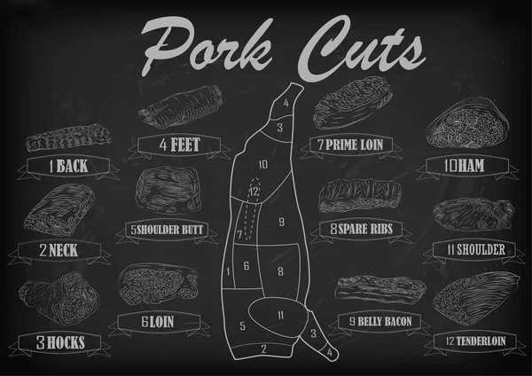 Domuz domuz yan karkas Kılavuzu arka boyun ayaklar omuz kalça bel jambon kesilmiş parçalar bilgi grafik düzeni işareti tabela poster kasaplar keser. Güzel yatay closeup beyaz anahat siyah arka plan vektör