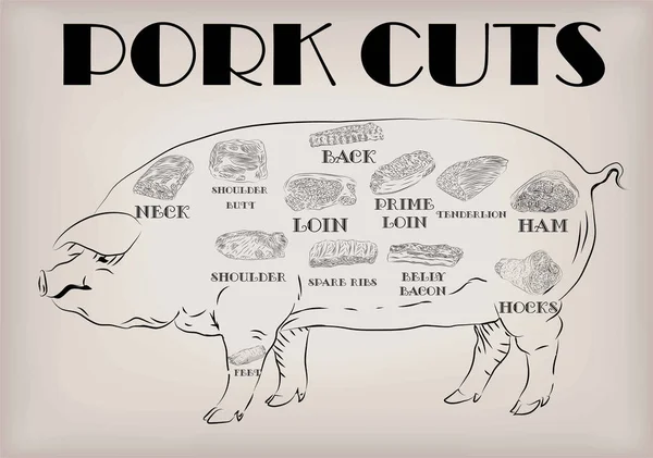 Vepřové prase strana kostry škrty výpalky info grafické schéma znamení "tabulkou" plakát řezníci Průvodce zátylku nohy rameno zadek panenka šunkou. Vektorový pozadí osnovy béžové krásné černé horizontální closeup — Stockový vektor