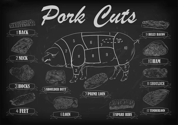 Pork pig side carcass cuts cut parts info graphics scheme sign signboard poster butchers guide back neck feet shoulder butt loin ham. Vector beautiful horizontal closeup white outline black background — Stock Vector