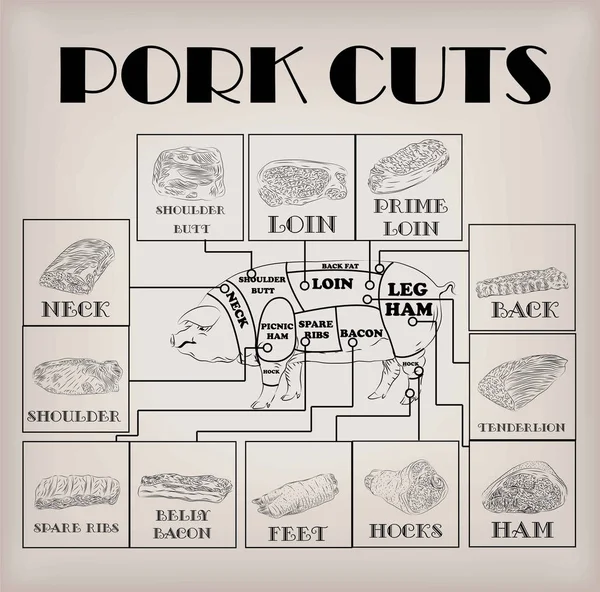 Pork pig side carcass cuts cut parts info graphics scheme sign signboard poster butchers guide back neck feet shoulder butt loin ham. Vector beautiful horizontal closeup black outline beige background — Stock Vector