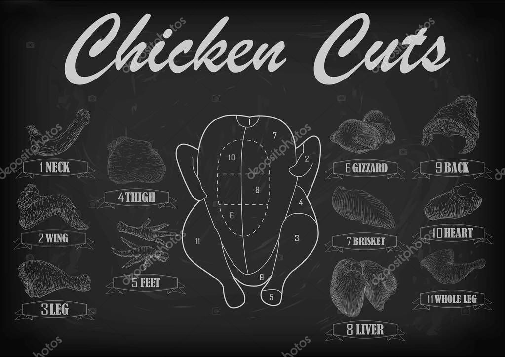 Pollo gallina corte carne, despojos esquema partes canal brisket
