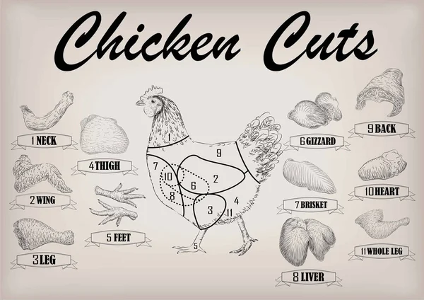 Kyckling höna skära kött systemet delar kadavret brisket hals wing filé tillbaka hjärtat ben lever. Vector horisontella närbild sida Visa illustration Logga information grafik svart kontur isolerade beige bakgrund — Stock vektor