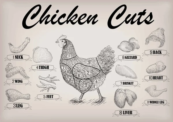 Kyckling höna skära kött systemet delar kadavret brisket hals wing filé tillbaka hjärtat ben lever. Vector horisontella närbild sida Visa illustration Logga information grafik svart kontur isolerade beige bakgrund — Stock vektor