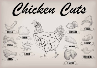 Chicken hen cutting meat scheme parts carcass brisket neck wing fillet back heart leg liver. Vector horizontal closeup side view illustration sign info graphics black outline isolated beige background clipart