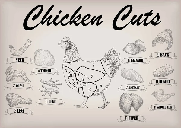 鶏の鶏の枝肉ブリスケット首主翼フィレット背中心脚肝臓肉スキーム部分をカットします。ベクトル情報のグラフィックは黒いアウトライン分離ベージュ背景水平クローズ アップ側ビューの図記号 — ストックベクタ