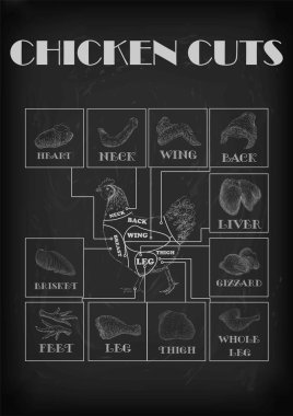 Karkas eti boyun kanat fileto arka kalp bacak karaciğer et düzeni parçalar kesme tavuk tavuk. Vektör yatay closeup yan görünümü illüstrasyon işareti bilgi grafik anahat Siyah Kara tahta arka plan beyaz