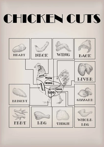Karkas eti boyun kanat fileto arka kalp bacak karaciğer et düzeni parçalar kesme tavuk tavuk. Yatay closeup yan görünümü illüstrasyon işareti izole bej arka plan bilgi grafik siyah anahat vektör