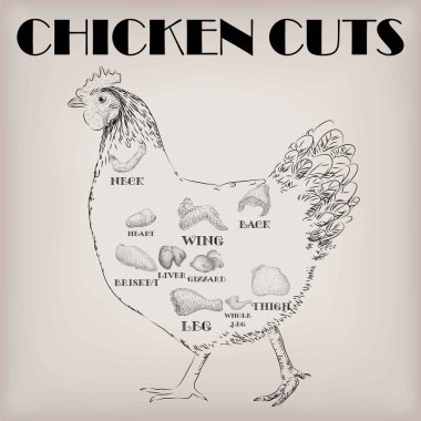 Horoz horoz horoz eti düzeni parçaları karkas eti kesme 