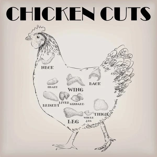 Horoz horoz horoz eti düzeni parçaları karkas eti kesme 