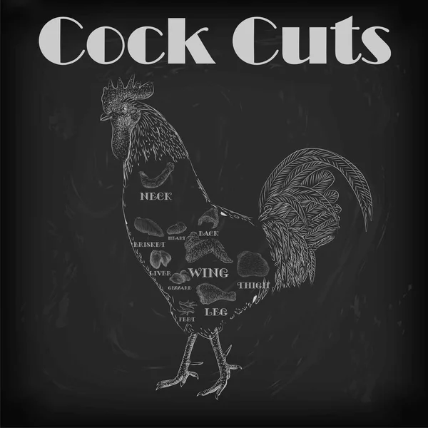 Cock cockerel rooster cutting meat scheme parts carcass brisket neck wing fillet heart leg. Vector horizontal closeup side view illustration sign info graphics white outline isolated black background — Stock vektor
