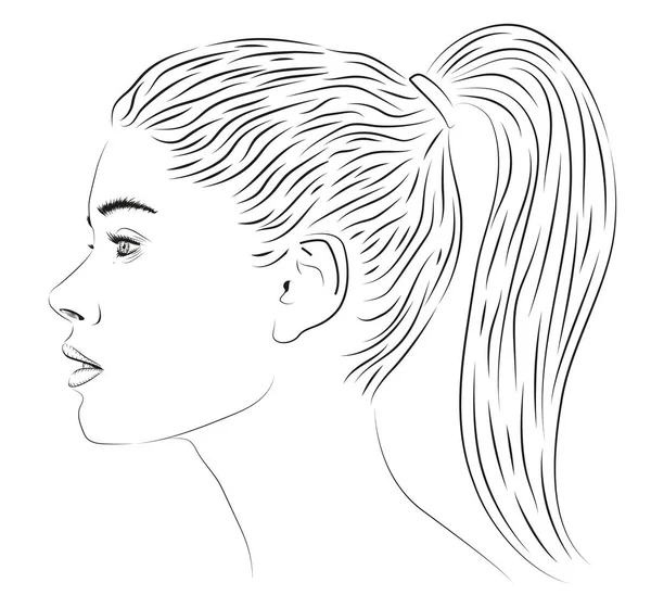 Κορίτσι κυρία γυναίκα θηλυκά άτομα πρόσωπο ουράς hairstyle όμορφη νεαρή προφίλ πορτραίτου προσωπογραφία ομοίωση εικόνα. Διάνυσμα closeup σημάδι πινακίδα τετράγωνο εικονογράφηση απομονωμένη λευκό μαύρη γραμμή — Διανυσματικό Αρχείο