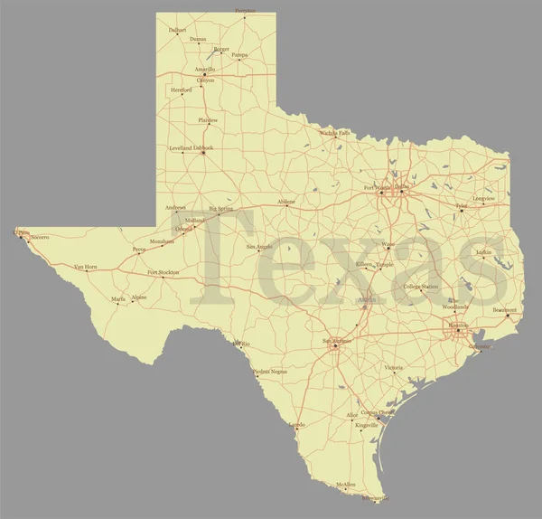 Texas precisa vector exacto detallado mapa del estado con asistencia comunitaria y activa iconos Ilustración pastel original. Estados Unidos de América — Archivo Imágenes Vectoriales