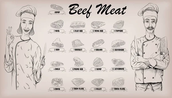 Carne de vaca carcaça partes cortadas vaca costeletas informações gráfico esquema cartaz açougueiros guia costas pescoço ombro; mulher e homens açougueiro cozinheiro retrato. Vector closeup horizontal bela ilustratio linear preto — Vetor de Stock