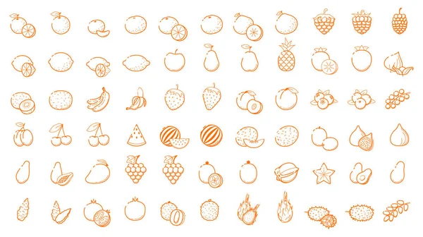 Büyük simge logo ayarlamak - sebze ve meyveleri ince çizgi anahat lineer B