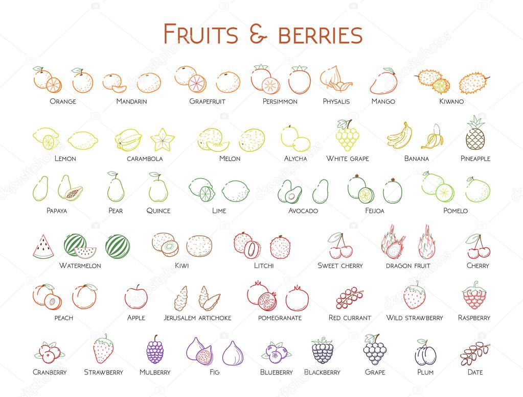 Outline colorful linear web icon set - Fruit & berries Thin bold Line food Icons For logo, label Orange banana strawberry plum, citrus, litchi, cherry, mango pear, kiwi, lemon, tropical big collectio