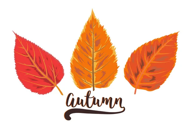 Vektor Herbst Aquarell Stil saisonale Karte Design mit gezeichneten o — Stockvektor