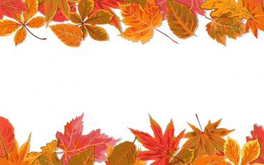 Vektör sonbahar mevsim suluboya stil Sonbaharda akçaağaç kestane alde