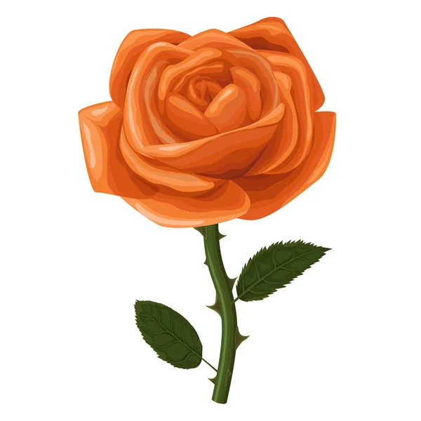 Vecteur aquarelle floral une rose fleur orange avec verdure le — Image vectorielle