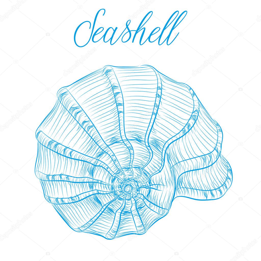 Nautilus sea shell Hand drawn blue linear vector illustration.Ma