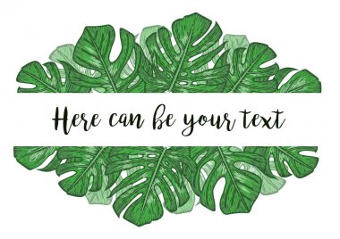 Tropikal monstera ile suluboya resim bırakır. Egzotik na
