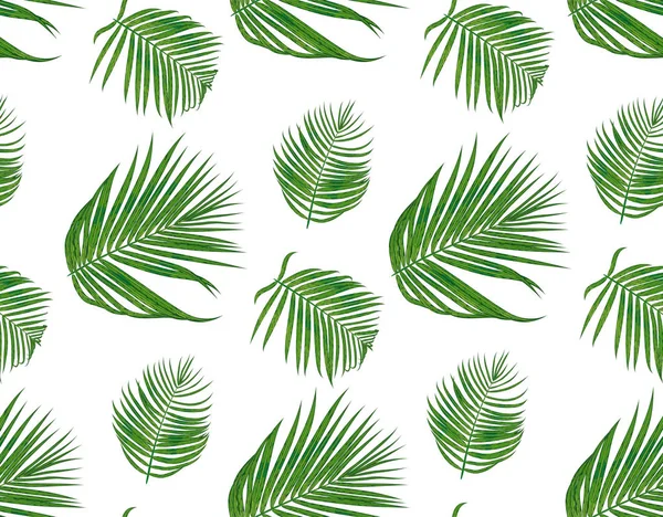 Padrão sem costura com areca palma ramo tropical semeado, verde l —  Vetores de Stock