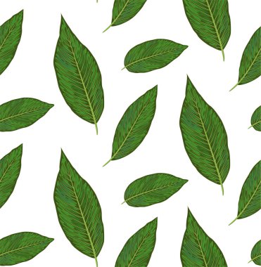 Diffenbachia bitkileri, yeşil ile Seamless Modeli şirin wal bırakır