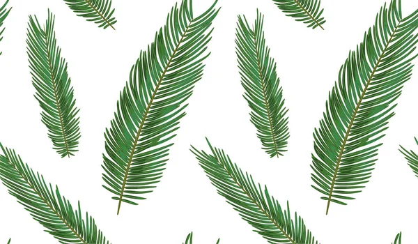 Motif sans couture avec branche de graines tropicales de sagou, vert le — Image vectorielle
