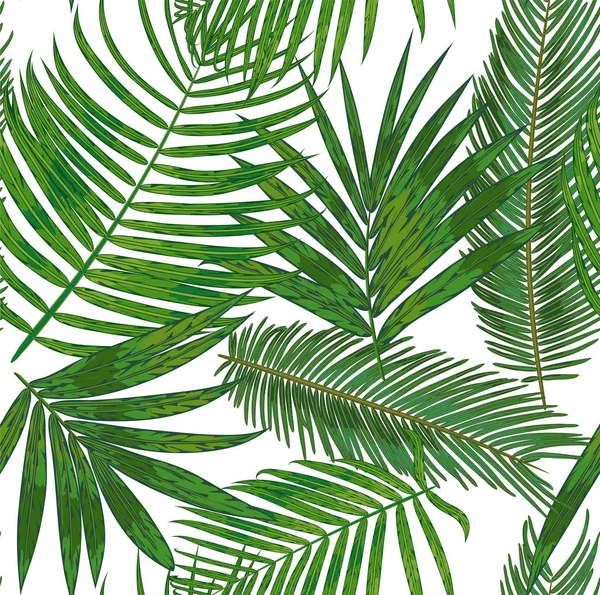 热带棕榈叶的矢量无缝图案。背景的 — 图库矢量图片