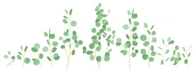 Vektör desen davetiyeli yeşil tropikal palmiye yaprakları ben