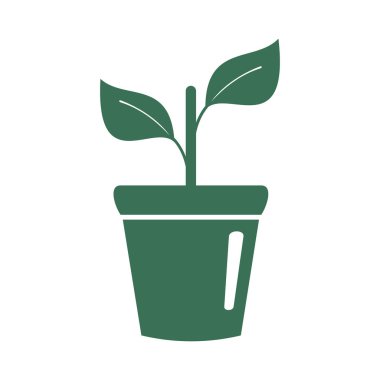 Rostock. Bir çiçek bir tencerede. Ev bitkisi. Simge.