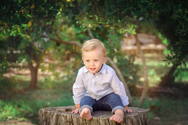 Roztomilý malý chlapec sedí na pařez. Vyjádření pozitivity precizní — Stock fotografie