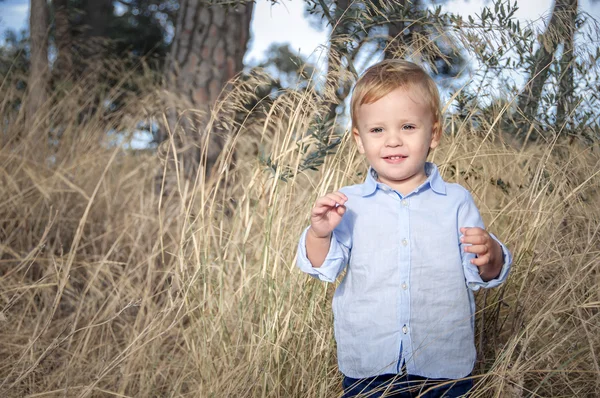 Portrét malého chlapce v blízkosti uschlé trávy na podzim park. — Stock fotografie