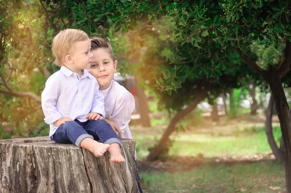 Hermanos en el parque, Jr. se sienta en el muñón, hermano mayor al lado de — Foto de Stock