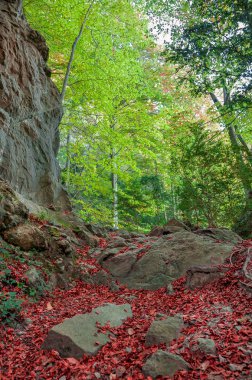 Sonbahar manzara Pyrenees dağlarda. Pyrenees Orientales.