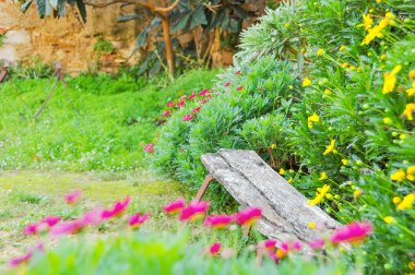Bahçede, güzel çiçekler yakınındaki eski tezgah.