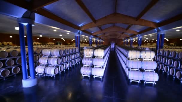 Interior of the wine cellar — Stock Video