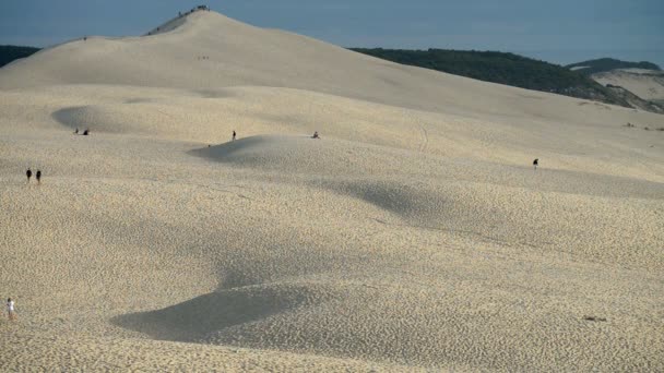 Mensen en toeristen op de hoogste zand duna — Stockvideo