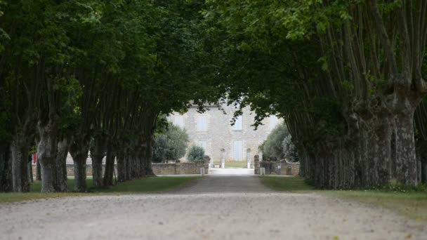Путь к замку во Франции — стоковое видео