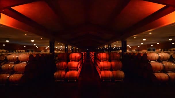 Wnętrze piwnicy z winami — Wideo stockowe