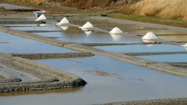 Salt marsh in the France — Stock Video