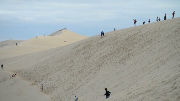 Personas y turistas en la duna de arena más alta — Vídeo de stock