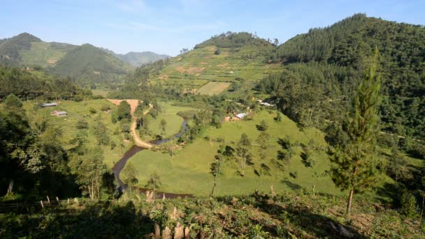 Paisaje agrícola en Uganda — Vídeos de Stock