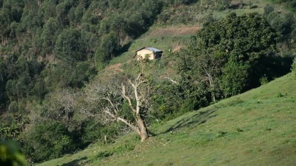 Agrarische landschap in Oeganda — Stockvideo